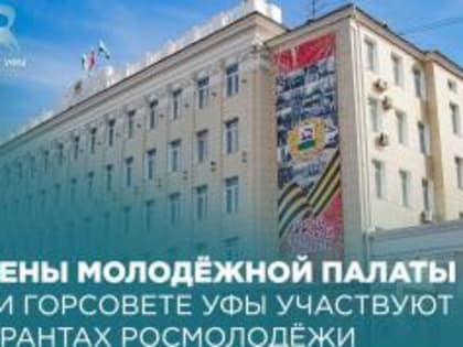 Члены Молодёжной палаты при Горсовете Уфы участвуют в грантах Росмолодёжи