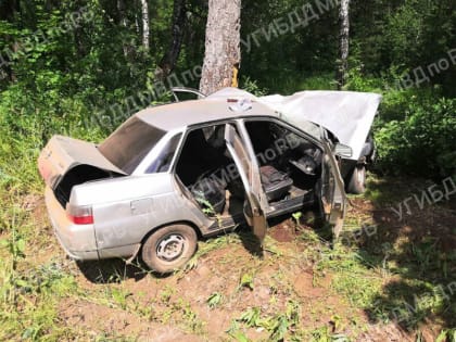 В Башкирии погиб водитель, вылетев в кювет и врезавшись в дерево