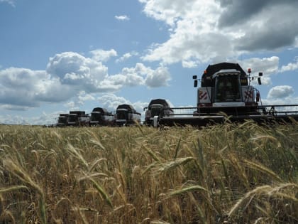 Поддержка аграриев: льготные кредиты для Башкортостана