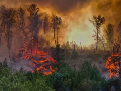 В Башкирии вероятна угроза лесных пожаров, как в Рязанской и Нижегородской областях