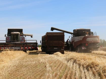 САМЫЙ ВЫСОКИЙ УРОЖАЙ