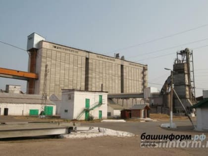 В Башкирии хранится запас семян на 1,5 года — минсельхоз