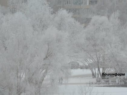 Министр образования Башкирии обратился к школьникам и их родителям с предупреждением