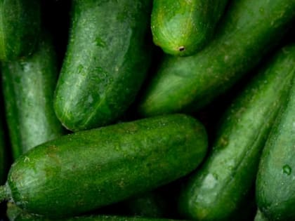 Огурцы будут сладкими: понадобятся чай и кофе