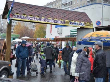 В Кировском районе проходит ярмарка, посвященная Дню республики