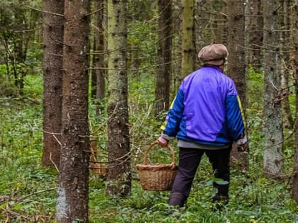 На потерявшуюся в лесу женщину в Башкирии вывел мобильный телефон