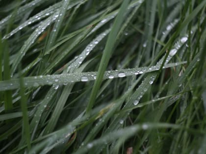 В Башкирии рабочая неделя начнется с дождей