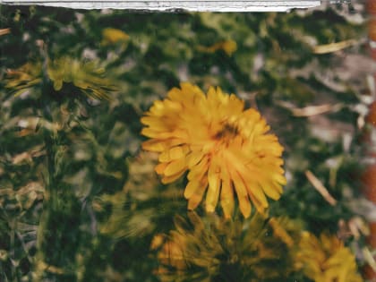 Подведены итоги Первого вузовского фотоконкурса «Под одним небом…»