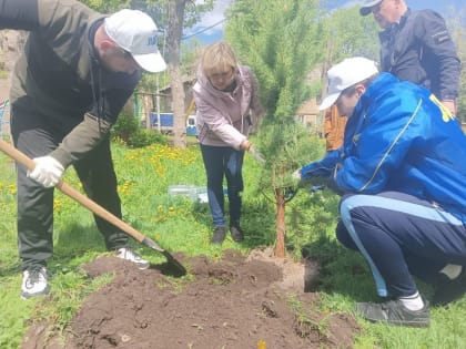 Вероника Ананьева приняла участие в благоустройстве двора в Орджоникидзевском районе