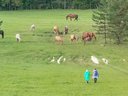 В 2024 году в Башкирию посетили на 11,5% туристов меньше, чем годом ранее