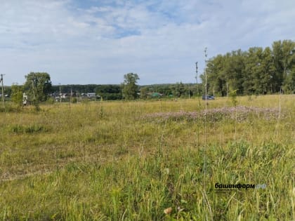 В Башкирии четыре компании получили земельные участки для реализации инвестпроектов