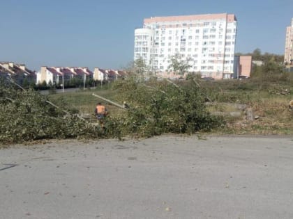 В Уфе в микрорайоне «Южный» началось обустройство нового парка