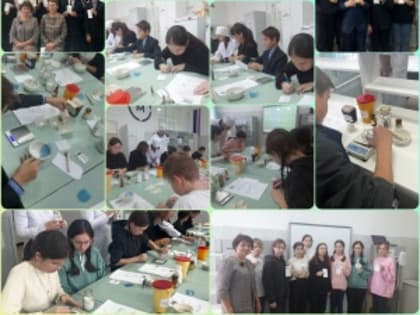 В БМФК стартовал профориентационный проект «Билет в будущее»