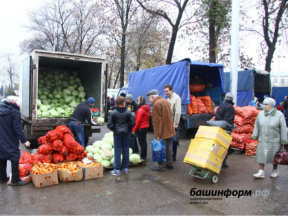 В Башкирии пройдут сельхозярмарки, приуроченные ко Дню республики