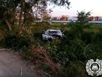 В Сибае, наехав на дерево, погиб водитель «Peugeot»