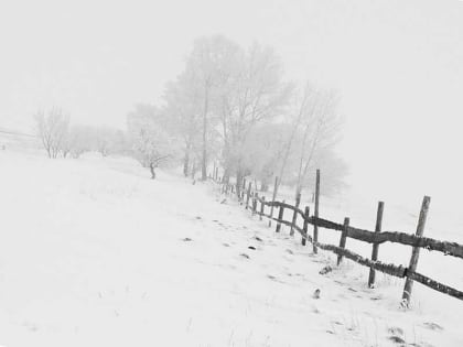 В Башкирии 20 февраля 2023 года потеплеет до -2°