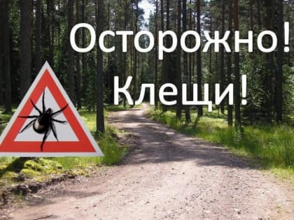 Осторожно,клещи!