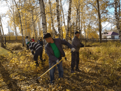 Осень. Время собирать листья.