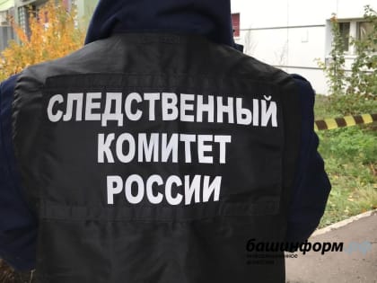 В Следственном комитете Башкирии сообщили подробности убийства семилетней девочки