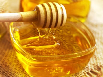 Пчеловоды Башкирии соберутся на форум