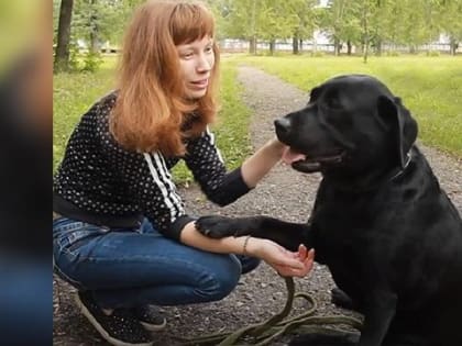 В Башкирии транспортники извинились перед уфимкой, которую не пустили в автобус с собакой