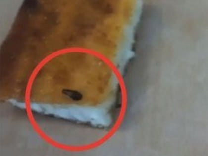 Жительница Белорецка пожаловалась на несъедобную еду в школе, где учится ее ребенок