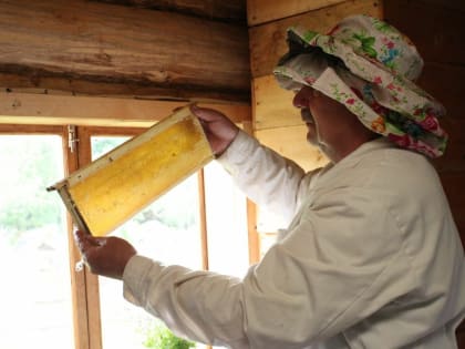 В Уфе на конгрессе «АпиГлобал» обсудили производство российских пчелопакетов