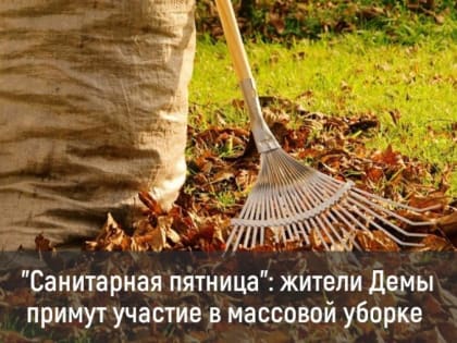 «Санитарная пятница»: жители Демы примут участие в массовой уборке