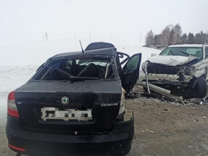 В Башкирии из-за снегопада на трассе произошло ДТП, пострадал 17-летний пассажир