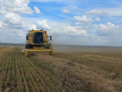 Государственная поддержка агропромышленного комплекса Башкирии в 2024 году