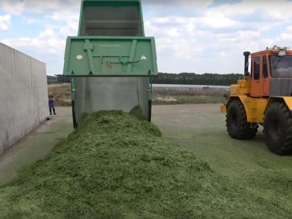 Башкирские аграрии достигли рекорда в заготовке кормов для животноводства