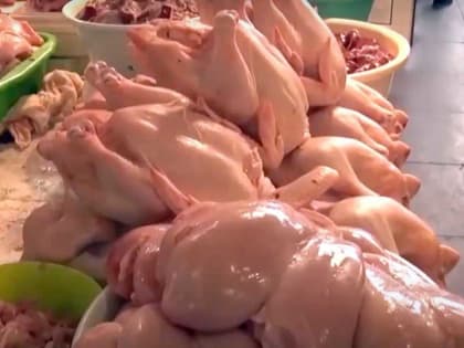 Курица, капуста, яйца: что сильнее всего подорожало в Башкирии