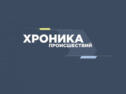 Хроника происшествий