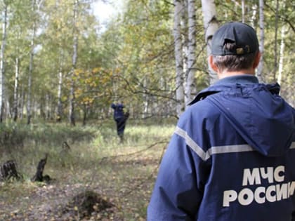 Села зарядка: в Иглинском районе завершились поиски заблудившегося грибника