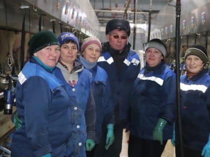 Радий Хабиров сообщил о рекордном надое молока