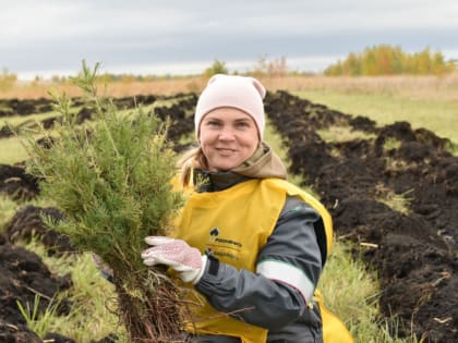 Для борьбы с обмелением озера Аслыкуль высажено 30 тысяч саженцев хвойных деревьев