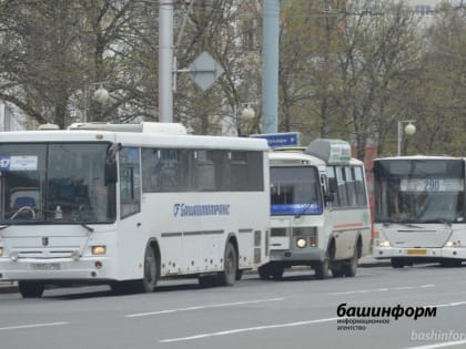 В Уфе парк перевозчиков пополнят новые большие автобусы МАЗ и ЛиАЗ