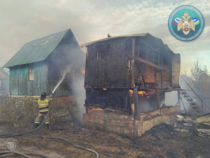 Под Уфой на территории садового товарищества сгорели три дома - видео