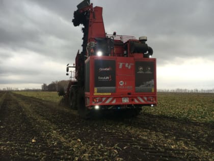 В Туймазинском районе Башкирии собрали рекордный урожай свеклы