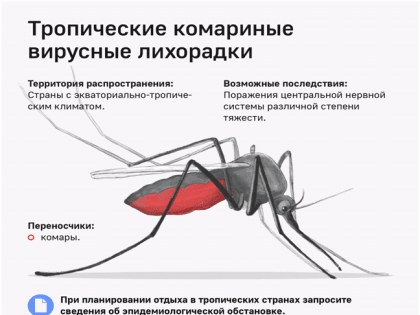 Памятка по профилактике заболеваний, передающихся при укусе комаров, при совершении туристических поездок