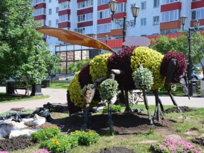 В Уфе на Телецентре знаменитую пчелу-клумбу засадили цветами