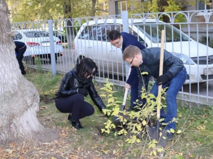 На территории ДО «Саторис» прошла акция по посадке деревьев