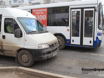 Частные перевозчики: стоимость проезда в маршрутках Уфы не повысится из-за «Башавтотранса»