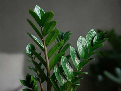 Обострение конфликтов в регионе: что происходит в мире