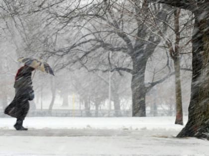 В ближайшие сутки в Уфе ожидается шквалистое усиление ветра