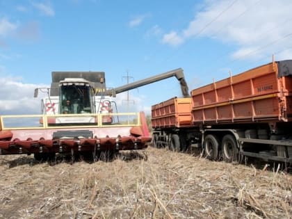 В Башкирии убрано 86% полей с подсолнечником