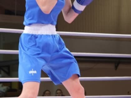 Уфимские боксеры удачно выступили в Волгограде