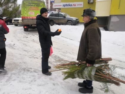 В Кировском районе Уфы стартовала акция «Елки в щепки»