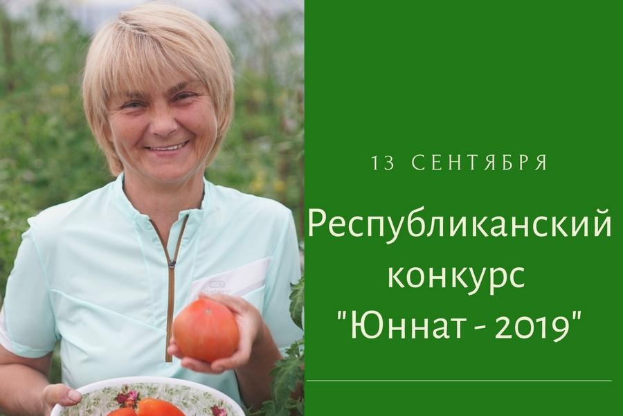 Помидоры без химии. Томат Юннат. Юннат помидор. Мичурин томаты Уфа. Томат Юннат отзывы.