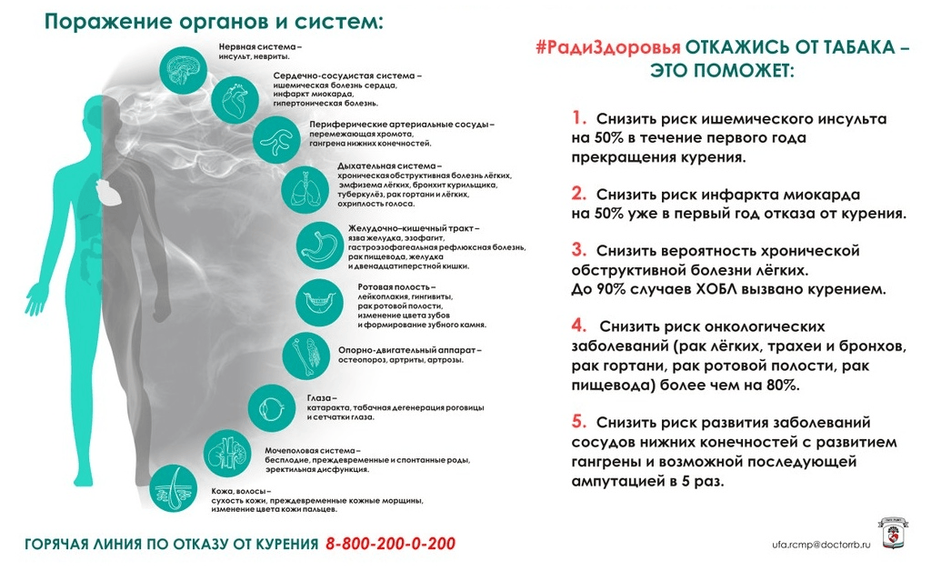 Какое действие на организм человека оказывает. Профилактика ХОБЛ памятка. Памятка по профилактике ХОБЛ. Памятка при ХОБЛ. Профилактика ХОБЛ буклет.